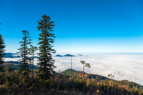 Fewo Talblick Schwarzwald